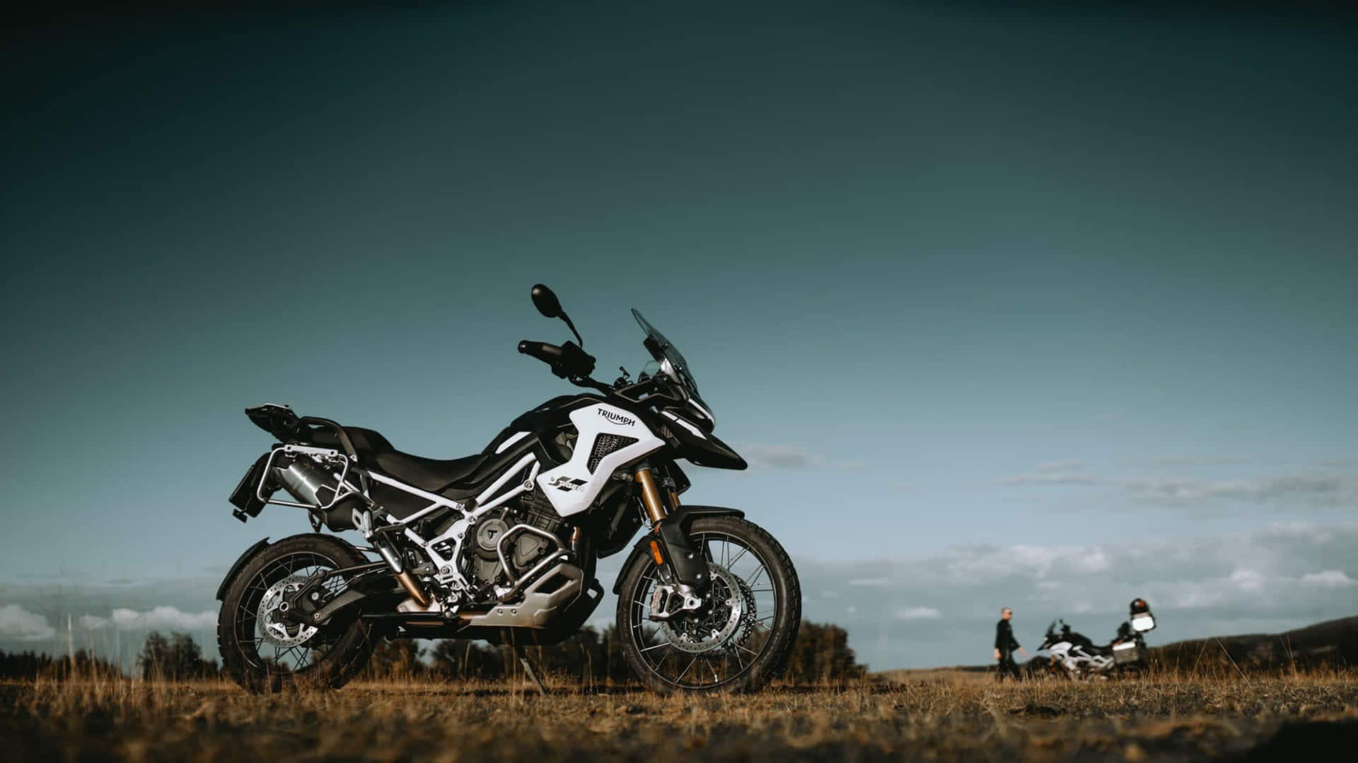 Triumph tiger 1200 adventure cheap